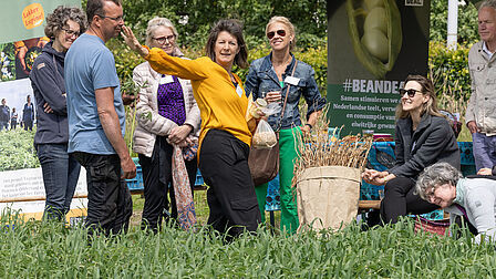 Deelnemers netwerkbijeenkomst Ontdek en Ontmoet Regio Foodvalley bezoeken het lupineveld in de Wageningse Eng. Ze krijgen uitleg over het gouden boontje: lupine.